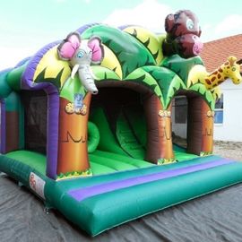 Fantastic 3D Artwork Children Inflatable Combo การเล่นที่สนุกสนานและภาพนิ่งราชอาณาจักรป่า