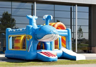 ปลาวาฬ Inflatable Combo