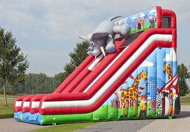 ภาพโปสเตอร์พาณิชย์ขนาดใหญ่ Inflatable Slide