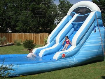 เล่นสไลด์น้ำสำหรับเด็ก / Dolphin Inflatable Water Slide