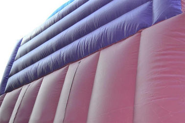 30 ฟุตเจ้าหญิงพองแห้งภาพนิ่ง, Faires สไลด์ภาพนิ่งสีม่วง Giant Bouncy