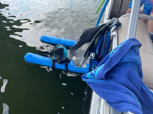 ไม่ลื่น EVA ผสมพกพาพับ Dog Boat Water Ramp สําหรับน้ํา สัตว์เลี้ยง ช่วยสุนัขบันได Ramp สําหรับสุนัขเล็กสูงสุด 230 ปอนด์
