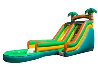 ปาล์มสีเขียวสไลด์น้ำทำให้พอง / Inflatable Backyard Water Slide