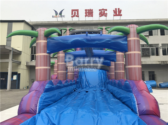 ผู้ใหญ่ Inflatable Screamer Combo Water Slide ผ้าใบกันน้ำ PVC สำหรับ Outdoor