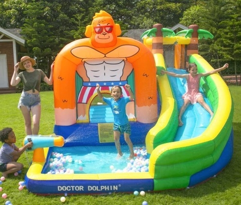 ด็อกเตอร์ดอลฟินสไลเดอร์น้ำทำให้พองสำหรับเด็กวัยหัดเดิน Water Bounce House พร้อม Splash Pool