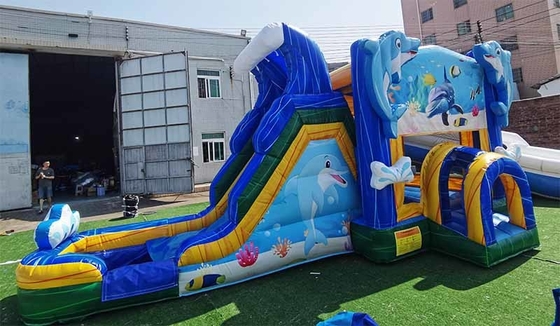 บ้านโดลฟินที่ทําตามสั่ง พร้อมสไลด์โลกใต้น้ํา โครงการกระโดดสําหรับเด็ก