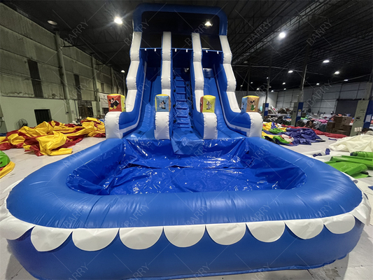 สวนสนุก สวนกลางแจ้ง เด็กใหญ่ สไลด์น้ําสองแบบปูปลาสําหรับวัยรุ่น สวนหลัง