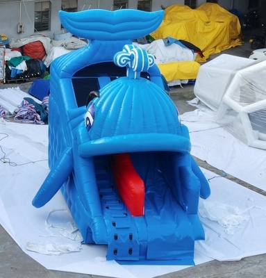 สไลด์น้ำทำให้พองเชิงพาณิชย์ออกแบบบ้านหลังบ้านปลาวาฬ