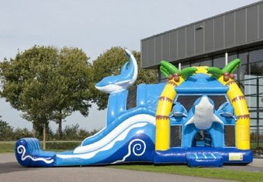 2 ใน 1 ปราสาท Dolphin Big Bouncy พองด้วยภาพคู่แบบแปลกประหลาดสำหรับ Amucement