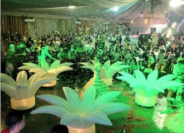 โคมไฟดอกทานตะวันที่ยอดเยี่ยมสำหรับการนำเสนองานแต่งงานแบบโรแมนติก