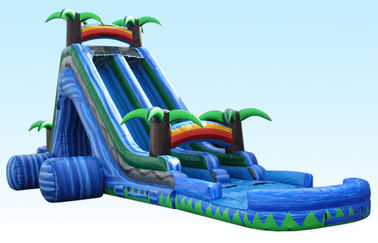 24Ft Wild Splash สไลด์, Blue Cliff Jungle Inflatable สไลด์เลนคู่