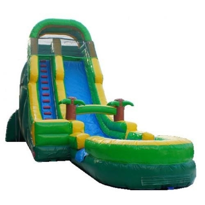 สไลด์น้ำกลางแจ้งธีมทรอปิคอลสำหรับเด็ก Blow Up Slides